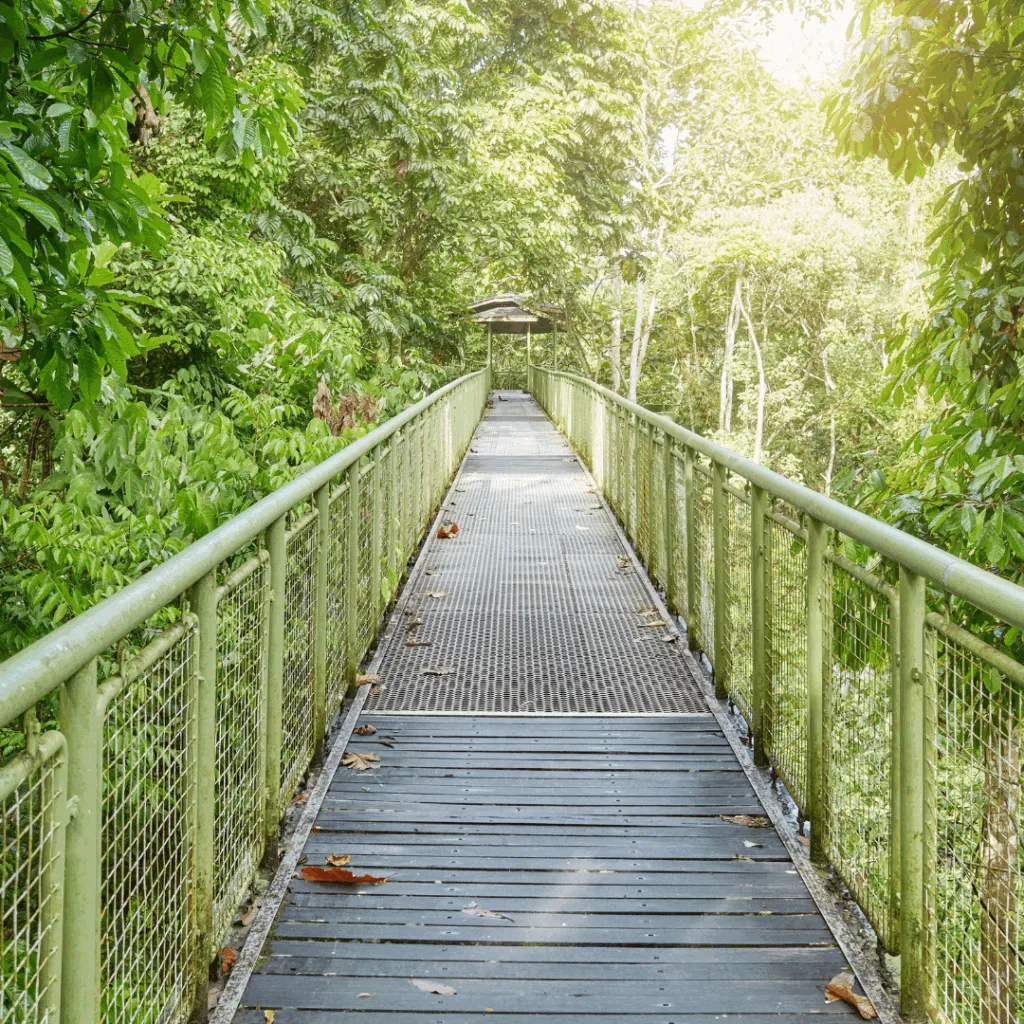 592bizpages Iwokrama Canopy Walkway lisitng image 1