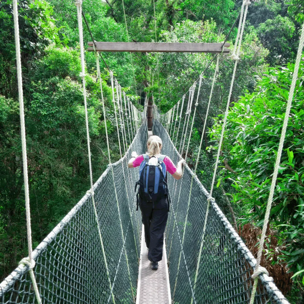 592bizpages Iwokrama Canopy Walkway lisitng image 2